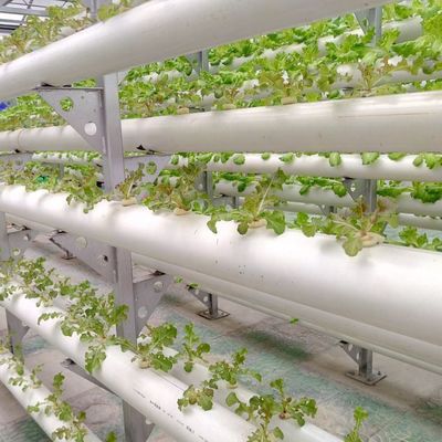 9.6m пленка теплицы для максимальной урожайности при выращивании без почвы и первоначальной выплате