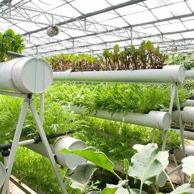 9.6m пленка теплицы для максимальной урожайности при выращивании без почвы и первоначальной выплате