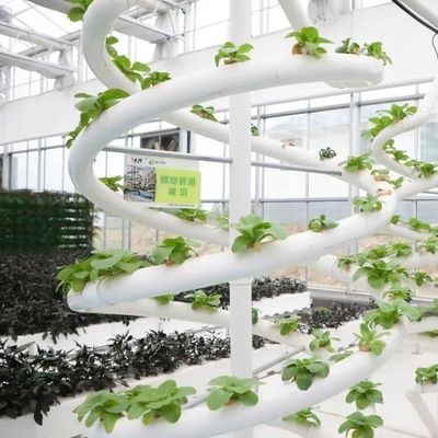 9.6m пленка теплицы для максимальной урожайности при выращивании без почвы и первоначальной выплате