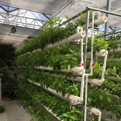 Временные решения для отопления для стеклянных теплиц