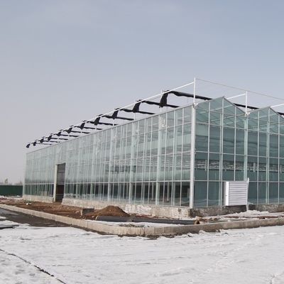 Гидропоническая теплица с системой контроля климата и двойным стеклом