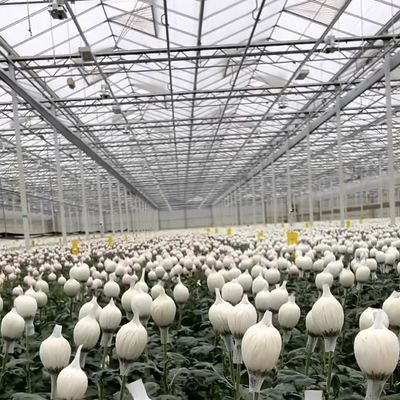 Система тепличной гидропоники с настройкой и валовой массой упаковки 100.000 кг