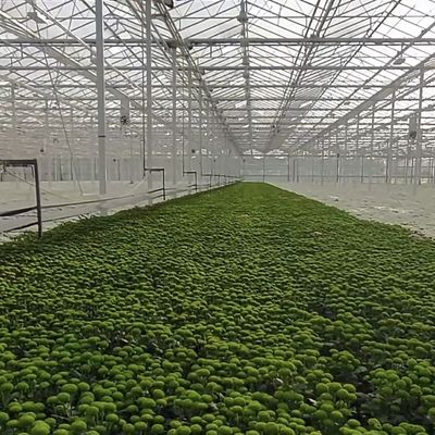 Система тепличной гидропоники с настройкой и валовой массой упаковки 100.000 кг