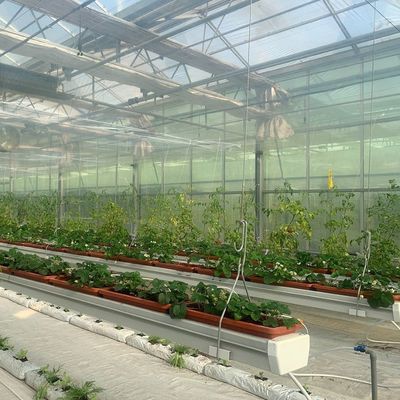 Гидропоническая пленочная тепличная установка площадью квадратного метра для круглогодичного производства культур