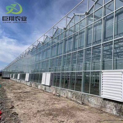 Двухслойное стекло с системой контроля климата для индивидуального земледелия и сельского хозяйства