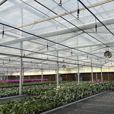 Большая сельскохозяйственная теплица из стекла в стиле Venlo с системой автоматического управления