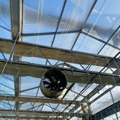Большая сельскохозяйственная теплица из стекла в стиле Venlo с системой автоматического управления