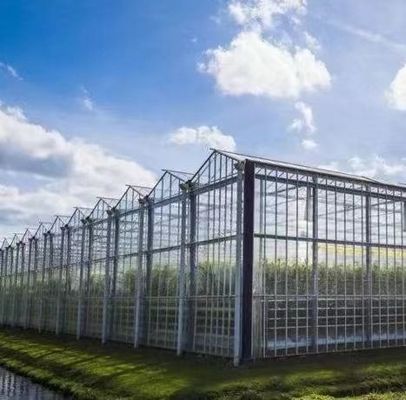 Метод выращивания гидропоники коммерческое отопление садовые стеклянные теплицы для растений