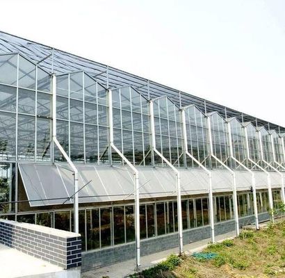 Метод выращивания гидропоники коммерческое отопление садовые стеклянные теплицы для растений