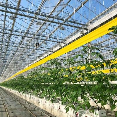 Стеклянная теплица с приемлемой ценой для крупного производства овощей и больших размеров