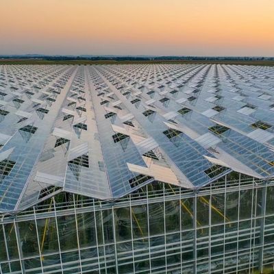 Стеклянная теплица с приемлемой ценой для крупного производства овощей и больших размеров