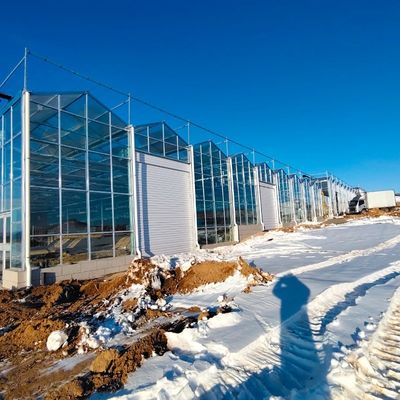 Стеклянная теплица с приемлемой ценой для крупного производства овощей и больших размеров