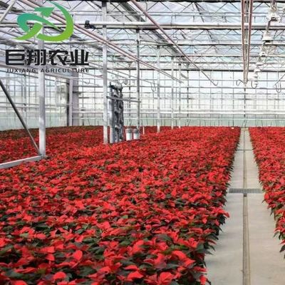 Горяче-DIP оцинкованные стальные трубы Структура материала закаленное стекло теплицы для огурцов