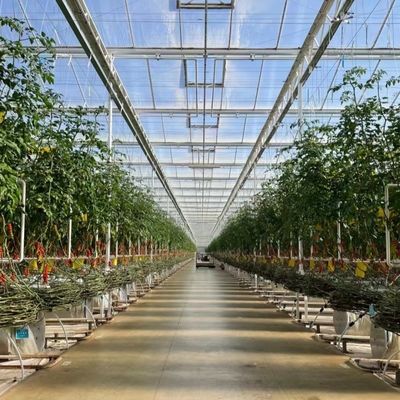 Стеклянная теплица Джу Сянь с типовой крышей стоимость доставки и расчетный срок доставки