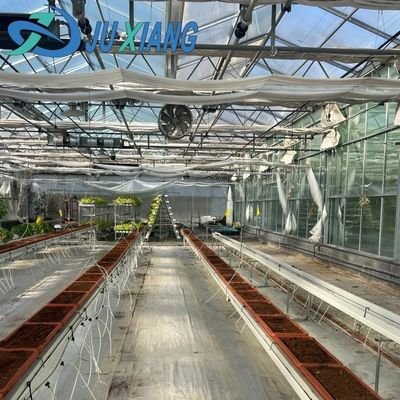 Стеклянная теплица Джу Сянь с типовой крышей стоимость доставки и расчетный срок доставки