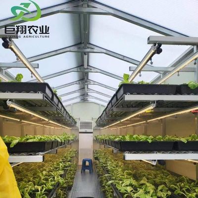 Специализированная теплица из стекла JX 2023 сельскохозяйственное оборудование Juxiang с системой охлаждения