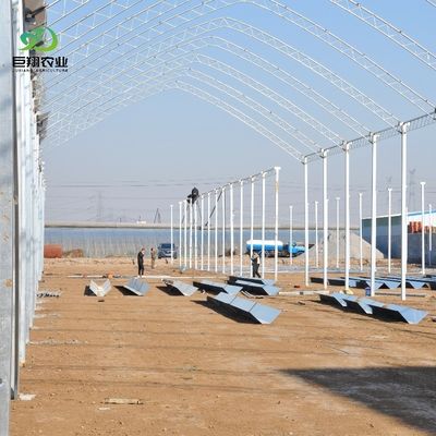 Теплица с автоматическим отключением света на 100% для Канады / США Запрос образца