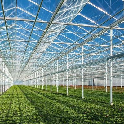 20 долларов США на квадратный метр Ju Xiang Glass Greenhouse для выращивания овощей Полная оплата