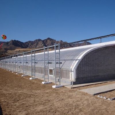 Крыша с аркированной крышей JX-Arch Green House для выращивания помидоров и клубники