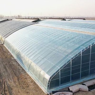 Крыша с аркированной крышей JX-Arch Green House для выращивания помидоров и клубники