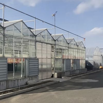 Однослойная стеклянная теплица для садоводства