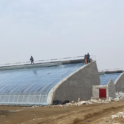 Постоянное нагревание зубная крыша PE/Pep пленка теплица с толщиной пленки 0,2 мм