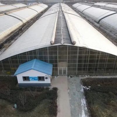 Структура стальных труб с горячим оцинкованием для гидропонной системы и различных культур