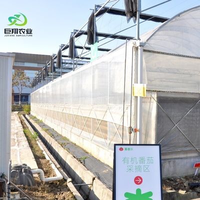 Аркированная крыша многоразовая гидропоника Пластиковая пленка Сельскохозяйственная теплица для коммерческой фермы