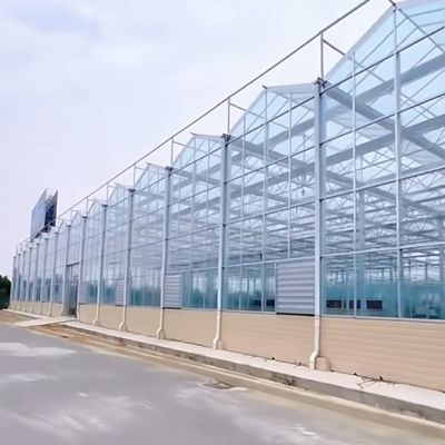 Большой стеклянный парниковый оазис экологически чистое решение для растений