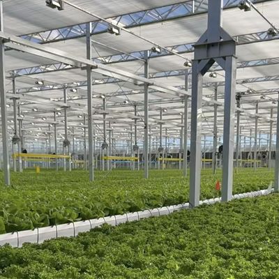 Большой стеклянный парниковый оазис экологически чистое решение для растений