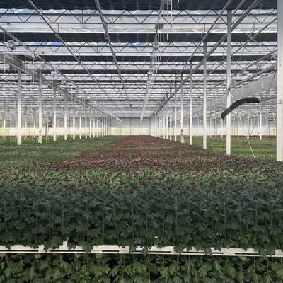 Большой стеклянный парниковый оазис экологически чистое решение для растений
