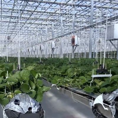 Двухслойный тепличный навес с хорошей светопередачей и функцией многоразового расстояния