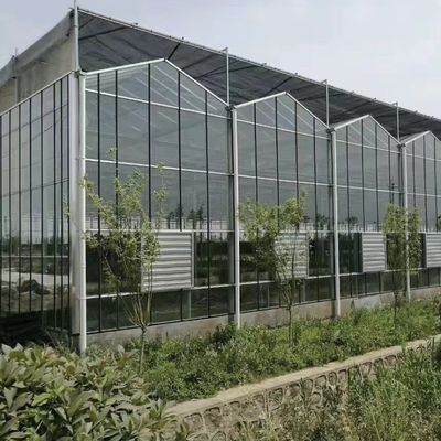 Стеклянная теплица для роста растений размерами 50,00 см * 60,00 см * 80,00 см