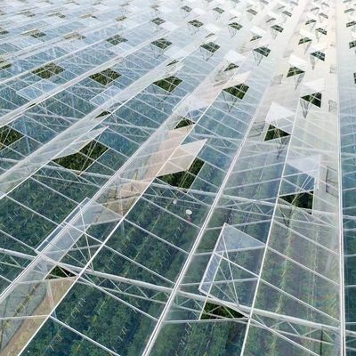 Конкурентоспособная первоначальная плата Теплица для ботанического оазиса Ограждение типа крыши