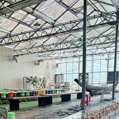 100.000kg упаковки валовой веса Стеклянная теплица для гидропонного выращивания цветов