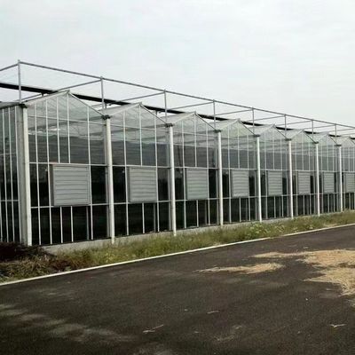 Гидропоническая стеклянная теплица для цветов с множественным оттенком экрана в пределах США JX-A00249