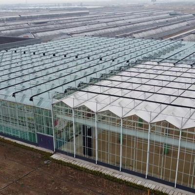 Большая тепличная гидропонная система с пакетом производительности и валовой массой 100 000 кг