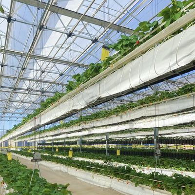 Пакет Размер 50.00cm * 60.00cm * 80.00cm Стеклянная теплица для гидропоники цветов