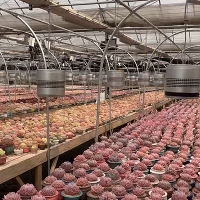 Стеклянная тепличная гидропоника система для выращивания цветов типа крыши