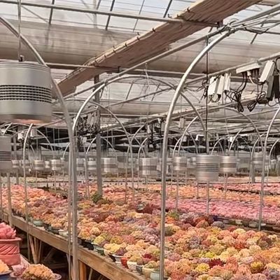 Плавучая стеклянная теплица для овощей многоразовый дизайн