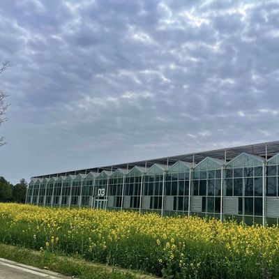 Первоначальная оплата Стеклянная теплица китайского происхождения с гидропонной системой с многоразовым расстоянием