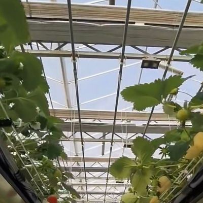 Стеклянная тепличная гидропонная овощная установка Стоимость доставки и расчетный срок доставки