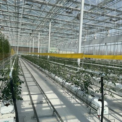 Гидропонная система многофункциональная стеклянная теплица JX-A00303 для оптимального роста культур
