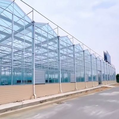 Стеклянная теплица китайского происхождения с гидропонными овощами