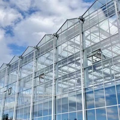 80.000kg валового веса Двухслойная стеклянная тепличная гидропоника для выращивания овощей