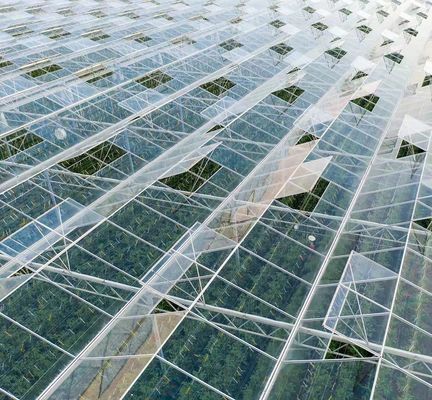 US Float Single Span Greenhouse для овощей/фруктов/цветов и возвраты