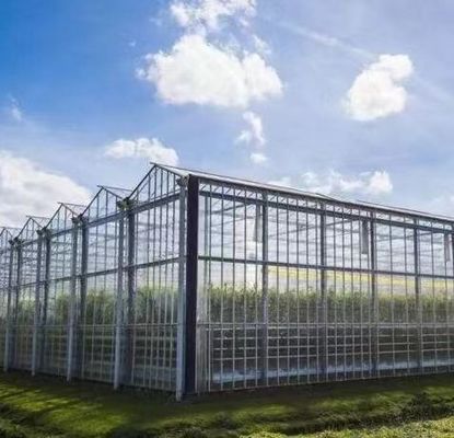 Стальная структура Система гидропонического выращивания овощей для гидропонического выращивания