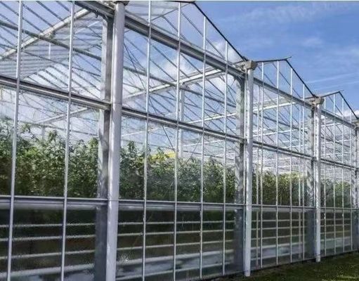 Стеклянная крышка с хорошей светопередачей Венло теплица с возможностью настройки